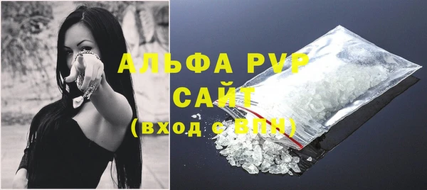 прущие грибы Арсеньев