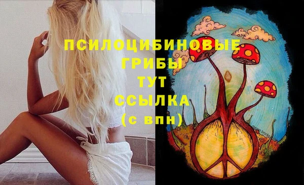 МДПВ Армянск