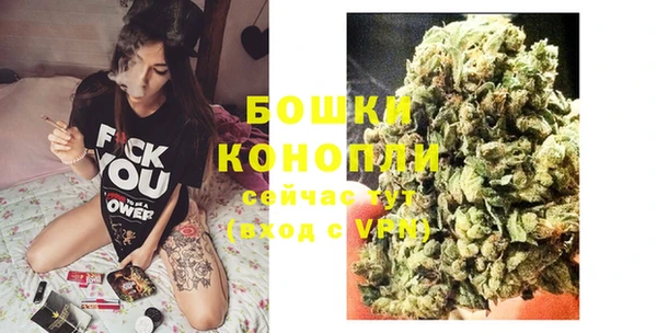 прущие грибы Сафоново