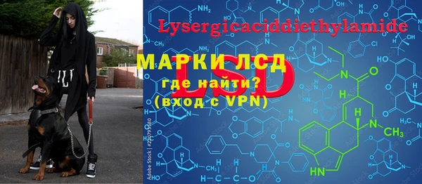 прущие грибы Арсеньев