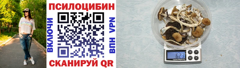 Галлюциногенные грибы Psilocybe  Чебаркуль 